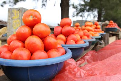 Uganda 7 - røde, store tomater i fade