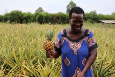 Uganda 9 - kvinde med plukket ananas i hånden