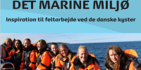 Det marine miljø publikation