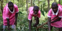 Uganda 2 - tre piger arbejder på mark