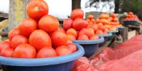 Uganda 7 - røde, store tomater i fade