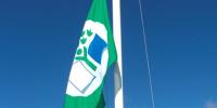 På billedet ses toppen af et flag, der markerer 'grønt flag-grøn skole'
